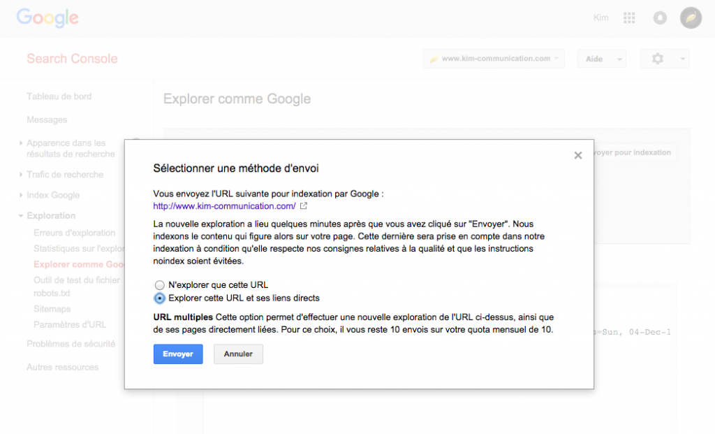 Faire explorer votre par Google pour une prise en compte rapide de la redirection.