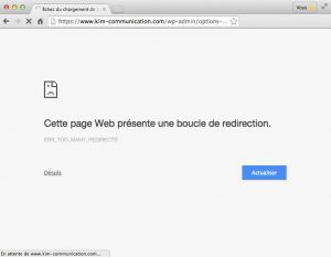 Erreur WordPress & SSL : too many redirect