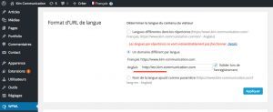 Capture faite avant le chercher-remplacer (WPML & SSL, problème avec sous-domaine)