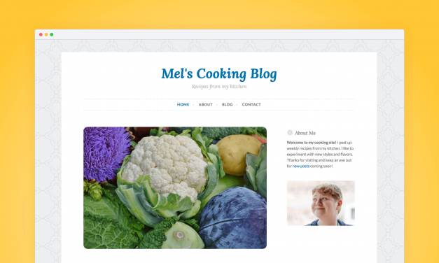 WordPress 4.8 “Evans”, une mise à jour pensée pour vous !
