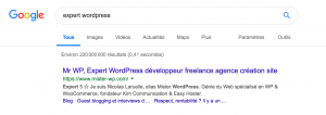 expert wordpress