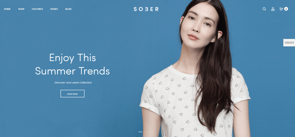 Sober: el mejor tema de WordPress de moda minimalista para sitios web de moda