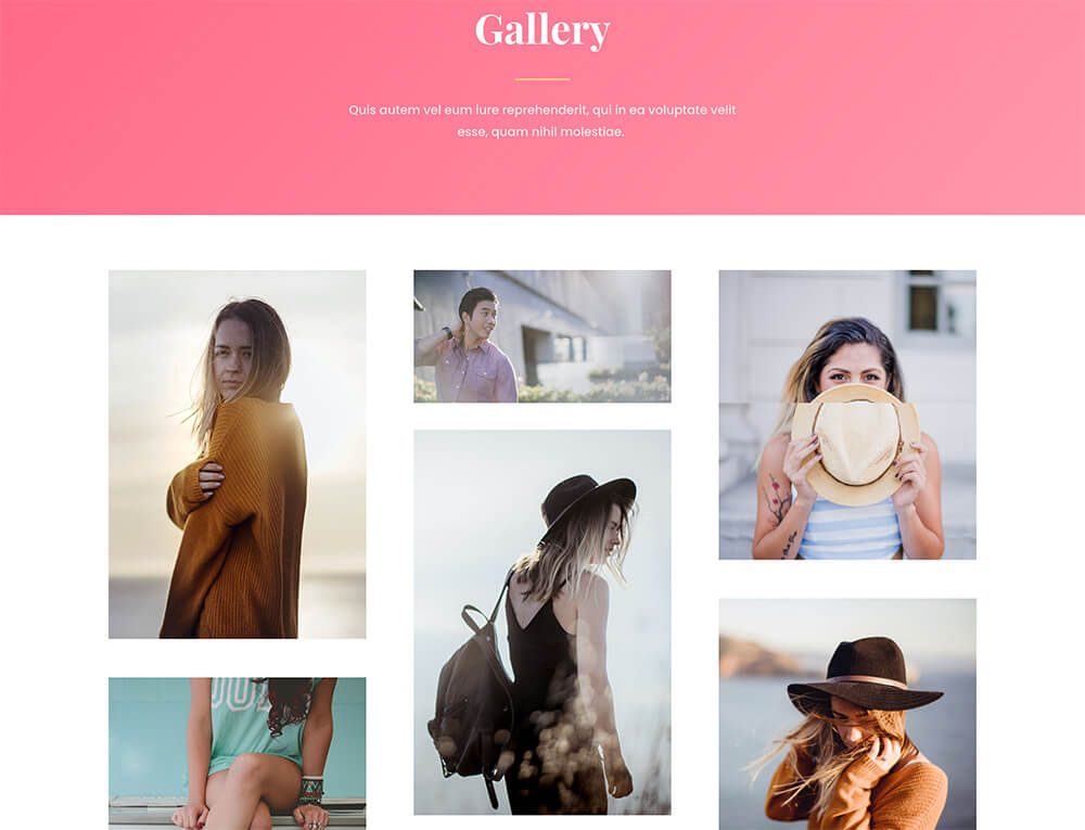 Divi: primer mejor tema de WordPress para mujeres, estilistas de uñas, sitios de moda femenina, maquillaje, etc.
