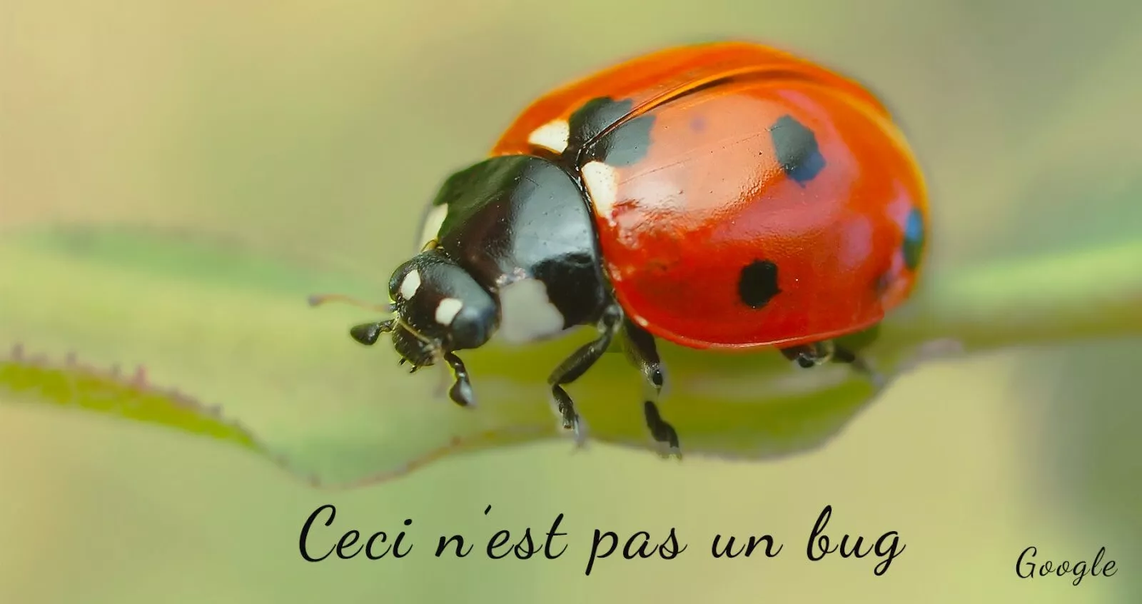 Problème d’indexation Google : Ceci n’est pas un bug !