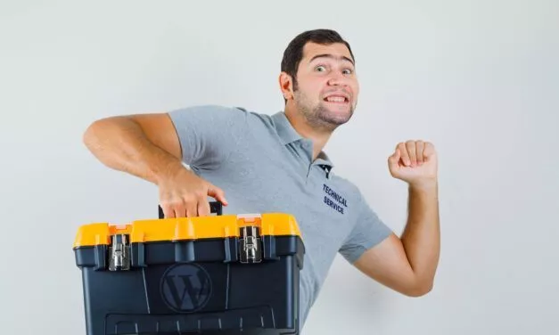 WordPress Maintenance: DIY, Freelancer, or Managed Webhosting? Complete guide !