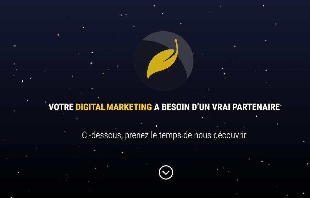 Exemple de sites créés avec Divi
