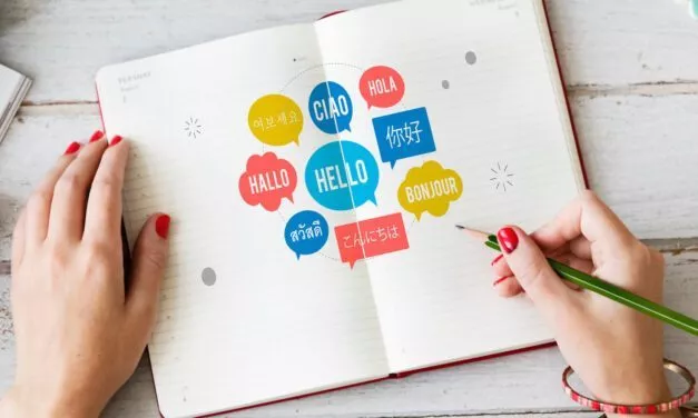 Les 17 Meilleurs plugins WordPress pour un site multilingue