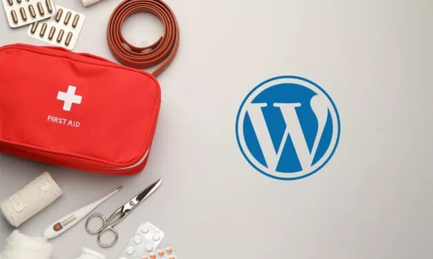 Dépannage WordPress : comment résoudre les erreurs, les dysfonctionnements & autres bugs ?