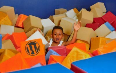 WordPress Thèmes & Plugins : différence, téléchargement, meilleurs thèmes et plugins